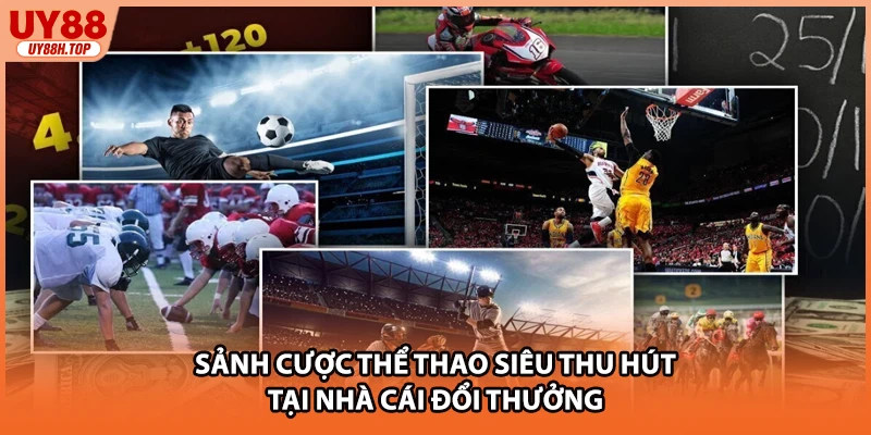 Sảnh cược thể thao siêu thu hút tại nhà cái đổi thưởng