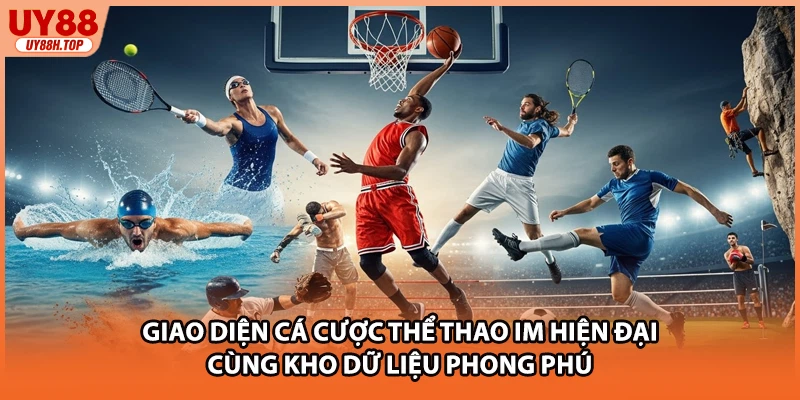 Giao diện cá cược thể thao IM hiện đại cùng kho dữ liệu phong phú