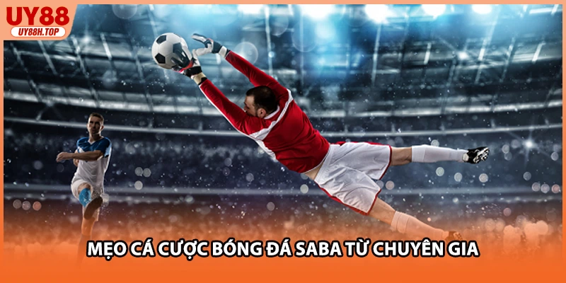 Mẹo cá cược bóng đá SABA từ chuyên gia