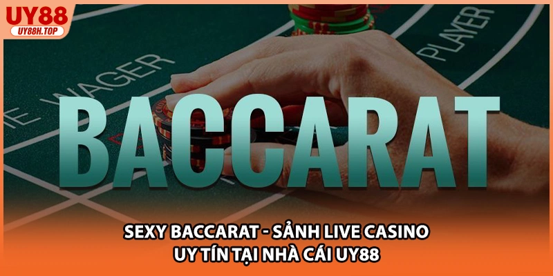 Sexy Baccarat - Sảnh Live Casino Uy Tín Tại Nhà Cái UY88